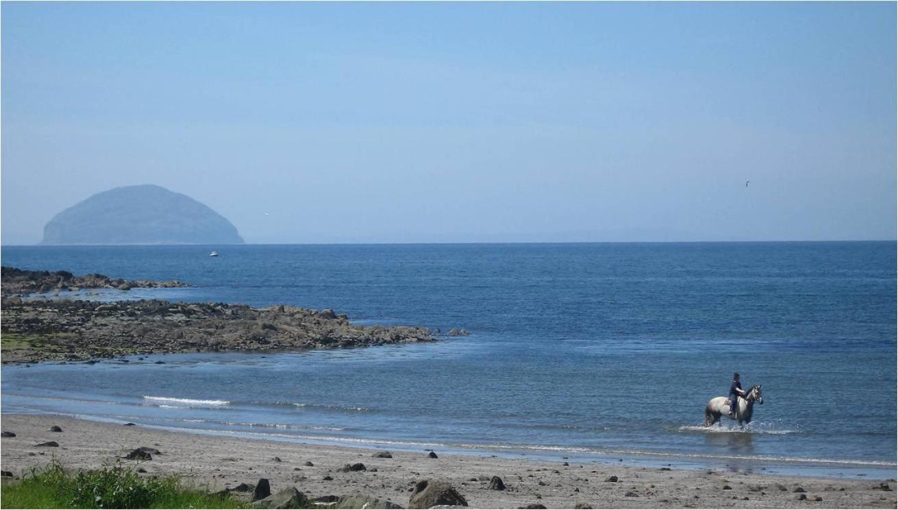 Woodland Bay Hotel Girvan Eksteriør billede